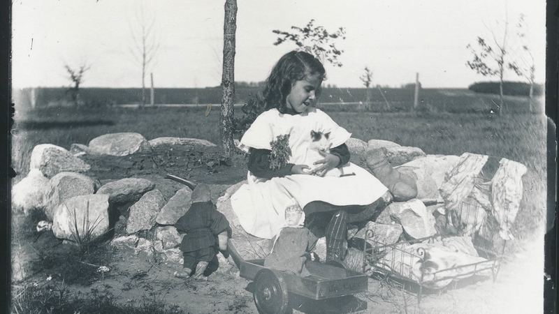 Ребёнок и кошка
