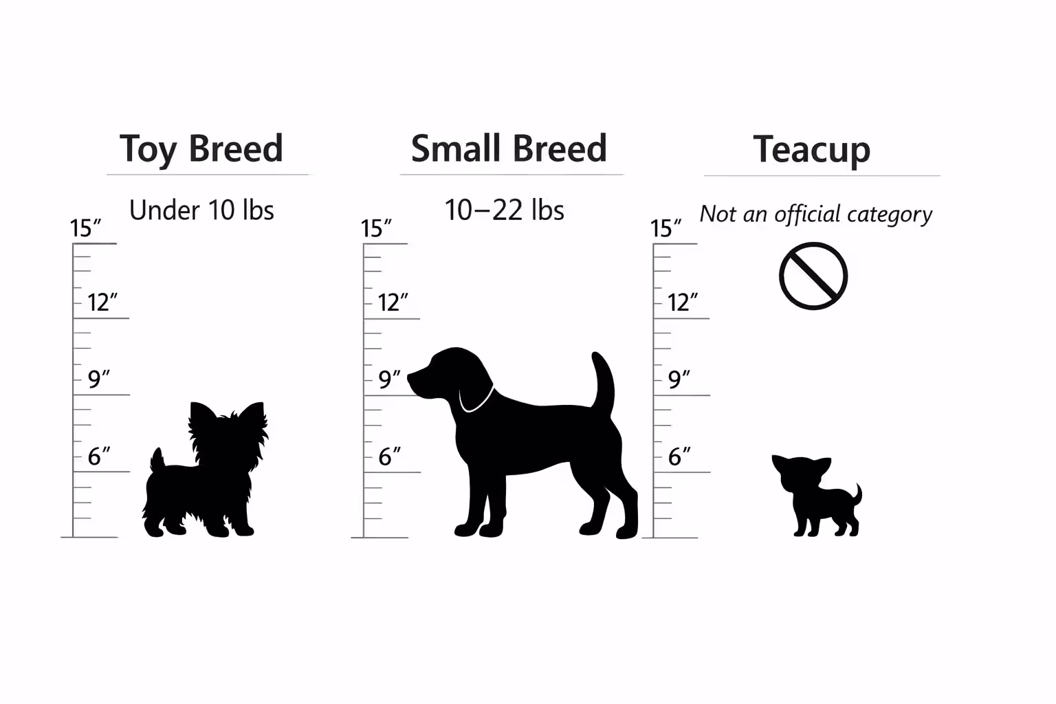 Infographic comparing toy breed under 10 pounds, small breed 10 to 22 pounds, and unofficial teacup category with size scale and warning label