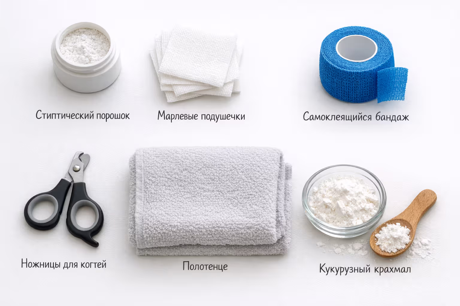 Treating a Broken Dog Nail at Home