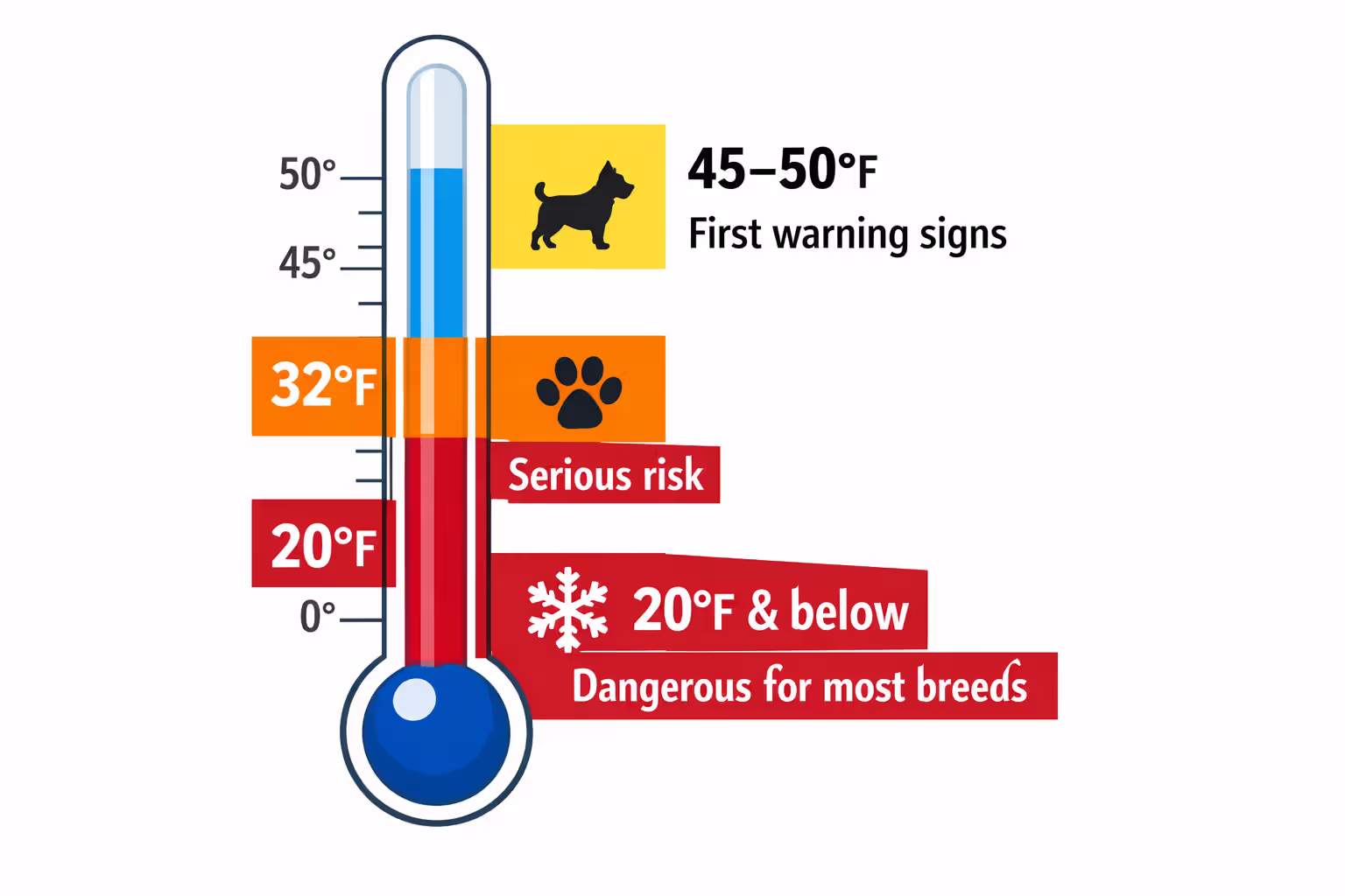 Infographic showing three cold temperature danger zones for dogs: yellow (45–50°F), orange (32°F), and red (below 20°F)