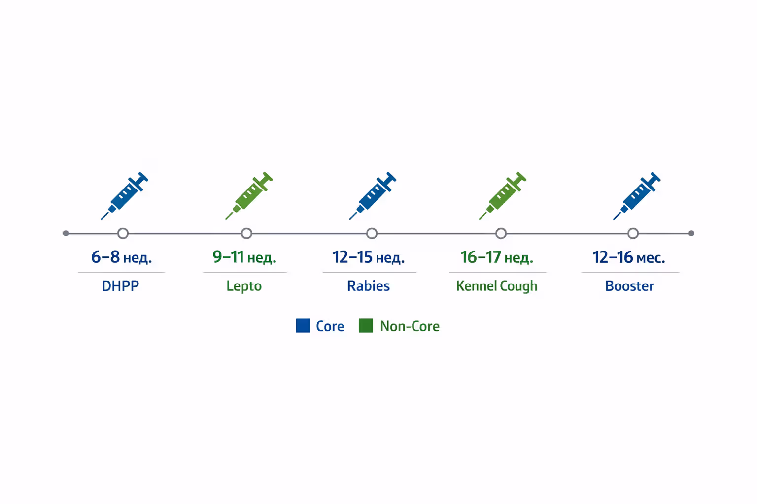 Visual puppy vaccination timeline from 6 weeks to 16 months with core and non-core vaccines marked