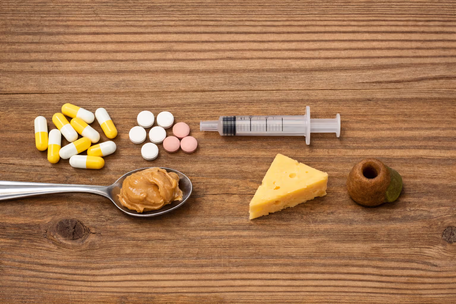 Various forms of gabapentin administration for dogs: capsules, liquid, pill pockets with food