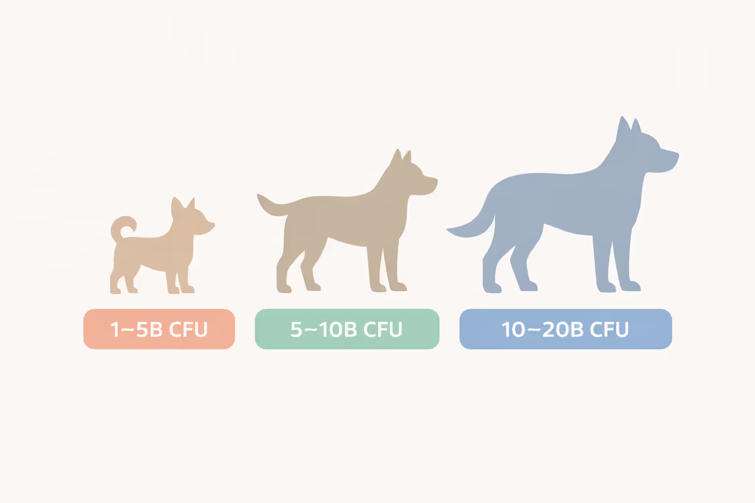 Three dog silhouettes of different sizes showing recommended daily probiotic CFU dosage ranges by weight category